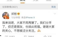 郑恺收入爆料最新消息新闻,最新爆料揭示明星收入真相